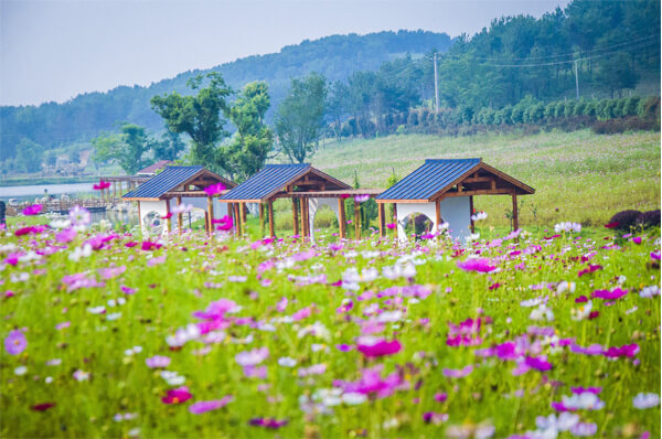 武漢木蘭草原露營(yíng)團(tuán)建活動(dòng)策劃